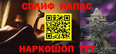 шишки Будённовск