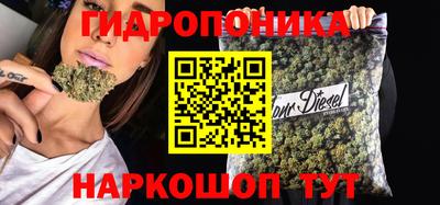 шишки Будённовск