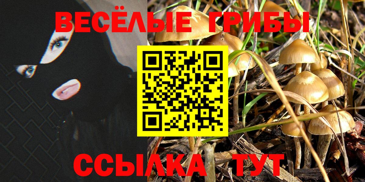 Псилоцибиновые грибы Cubensis Северобайкальск