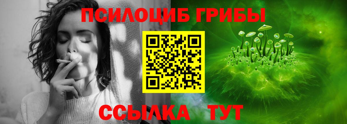 Северобайкальск  наркошоп  Вход с VPN  Галлюциногенные грибы мицелий 