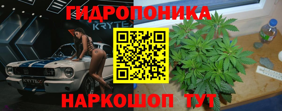 Каннабис Bruce Banner  Вход с VPN  Северобайкальск  Бошки марихуана гибрид  Марихуана индика 